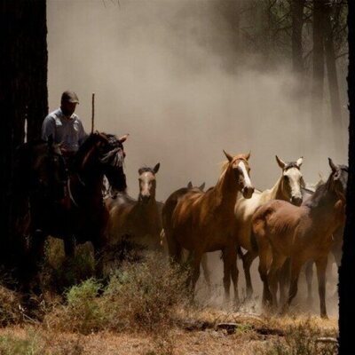 Doñana: donde el agua es sagrada