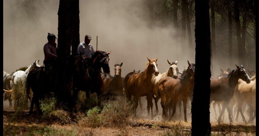 Doñana: donde el agua es sagrada