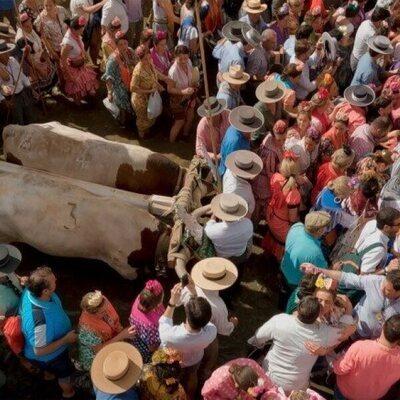 Doñana: donde el agua es sagrada