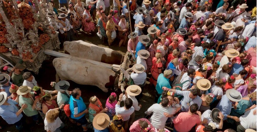 Doñana: donde el agua es sagrada