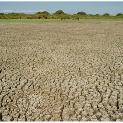 Doñana: donde el agua es sagrada