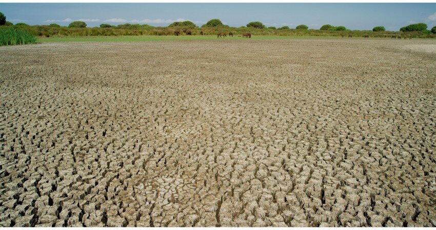 Doñana: donde el agua es sagrada