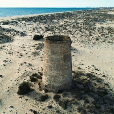 Doñana: donde el agua es sagrada