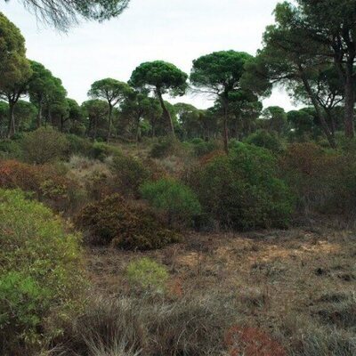 Doñana: donde el agua es sagrada