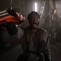 Sting. Araña asesina