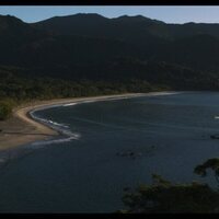 ¡Caigan las rosas blancas!