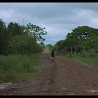¡Caigan las rosas blancas!