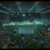 ¡Caigan las rosas blancas!