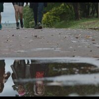 ¡Caigan las rosas blancas!