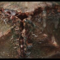 ¡Caigan las rosas blancas!