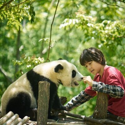 Moon, mi amigo panda