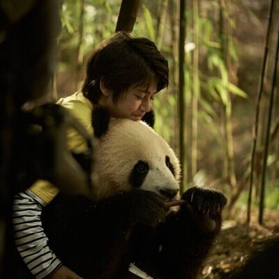 Moon, mi amigo panda