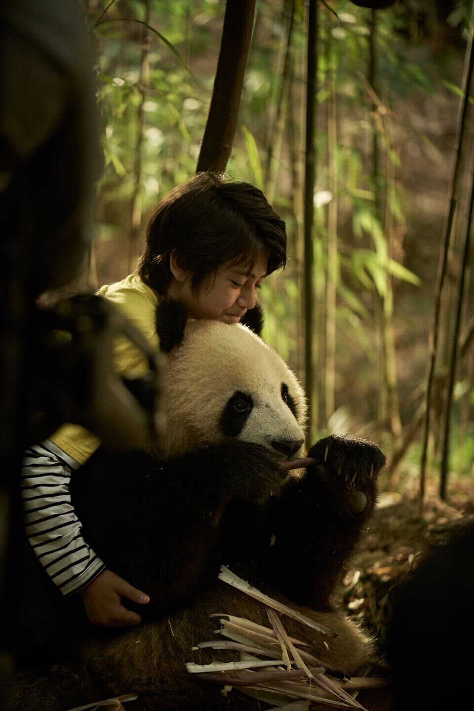 Moon, mi amigo panda