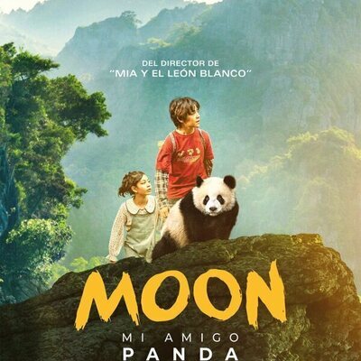 Moon, mi amigo panda