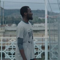 La isla de los faisanes