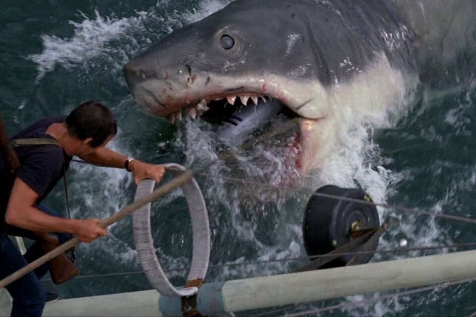 ¿Homenaje a 'Tiburón' de Spielberg?