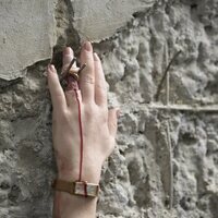 Destino final: Lazos de sangre