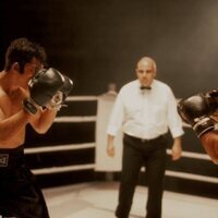 Miguel Velázquez. El catedrático del ring