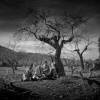 Centauros de la noche