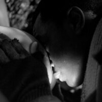 Centauros de la noche