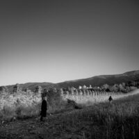 Centauros de la noche