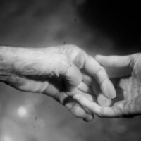 Centauros de la noche