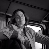 Centauros de la noche