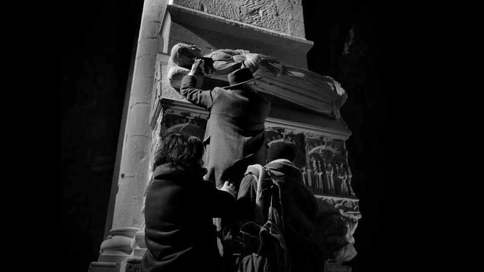 Centaures de la nit