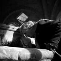 Centauros de la noche