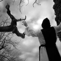 Centauros de la noche