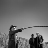 Centauros de la noche