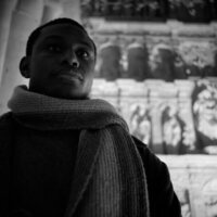 Centauros de la noche