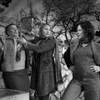 Centauros de la noche