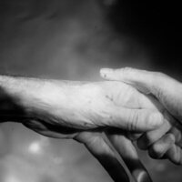 Centauros de la noche