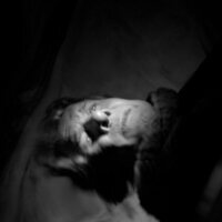 Centauros de la noche