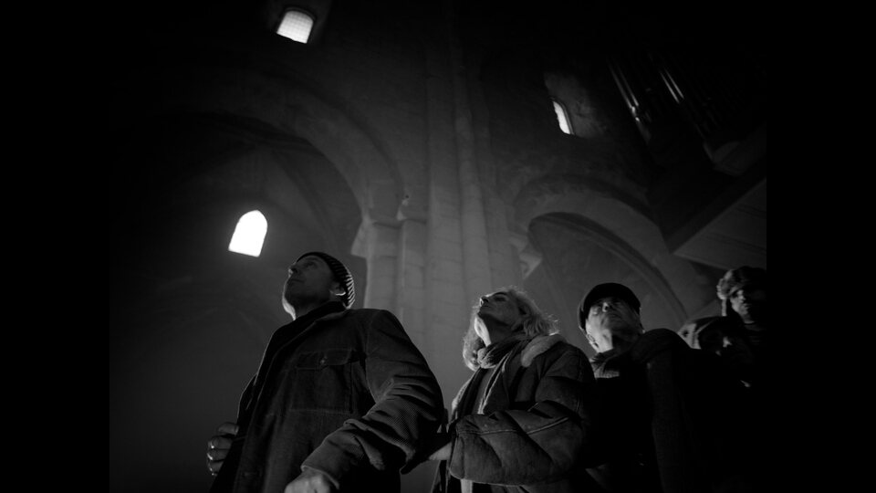 Centaures de la nit