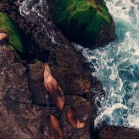 Aventura en la isla