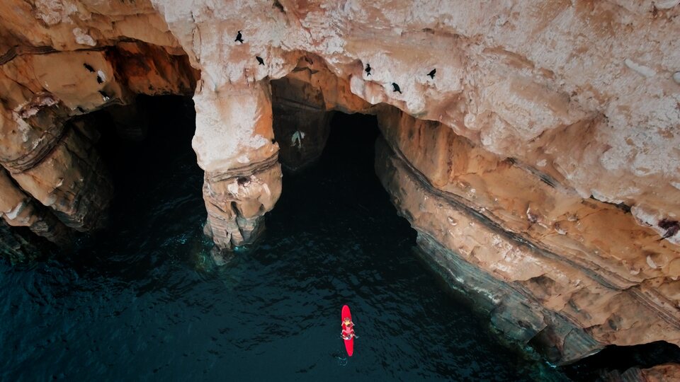 Island of Lost Girls