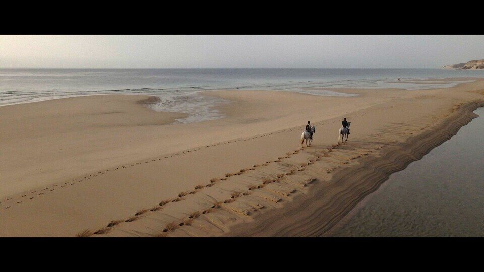 Entre mareas