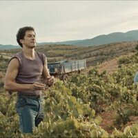 Cariñena, vino del mar