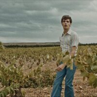 Cariñena, vino del mar