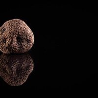 Las hijas del trueno