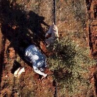 Las hijas del trueno