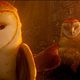 Ga'Hoole, la leyenda de los guardianes