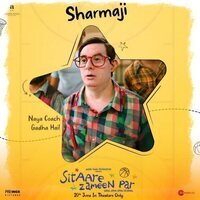 Sitaare Zameen Par