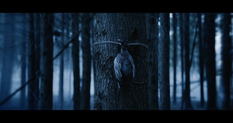 Bambi: La venganza