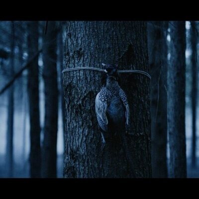 Bambi: La venganza