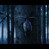 Bambi: La venganza