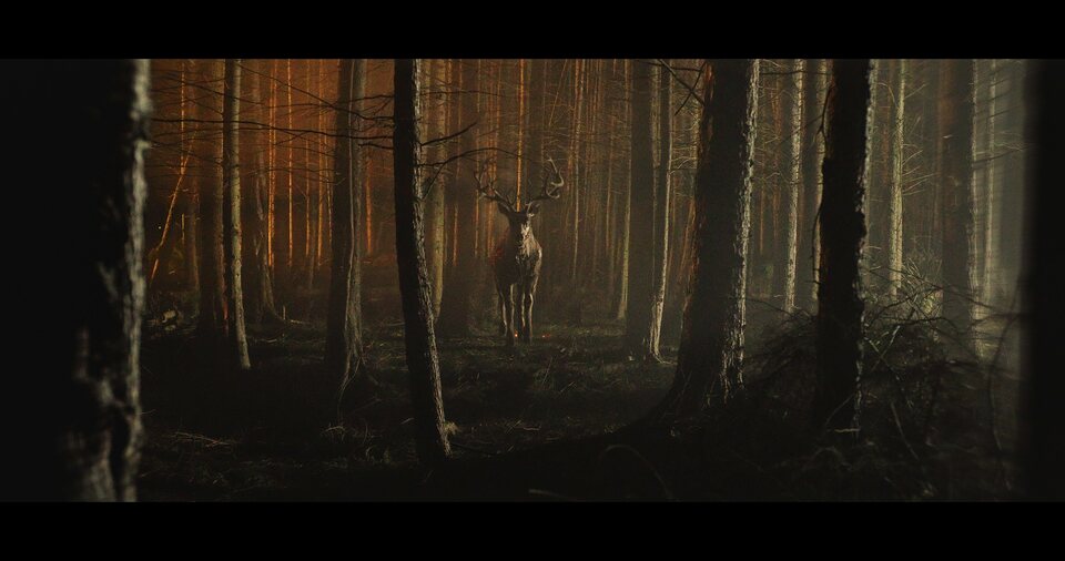 Bambi: La venganza