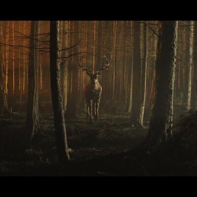 Bambi: La venganza